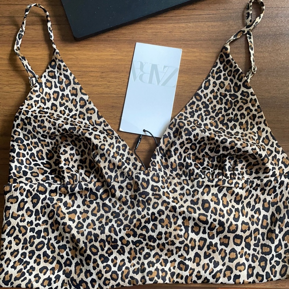 Zara crop top